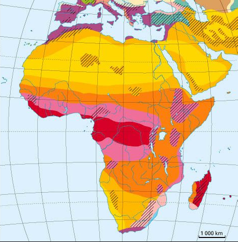  Instruments cartographiques