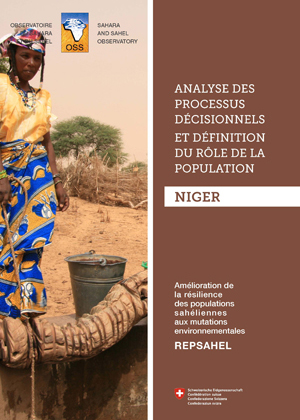 REPSAHEL-Dec-Process - Niger