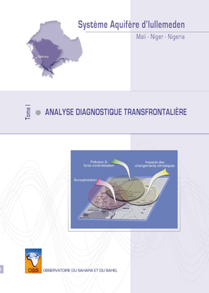 Analyse diagnostique transfrontalière