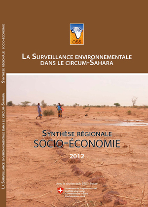 Synthèse régionale socio-économie 2012