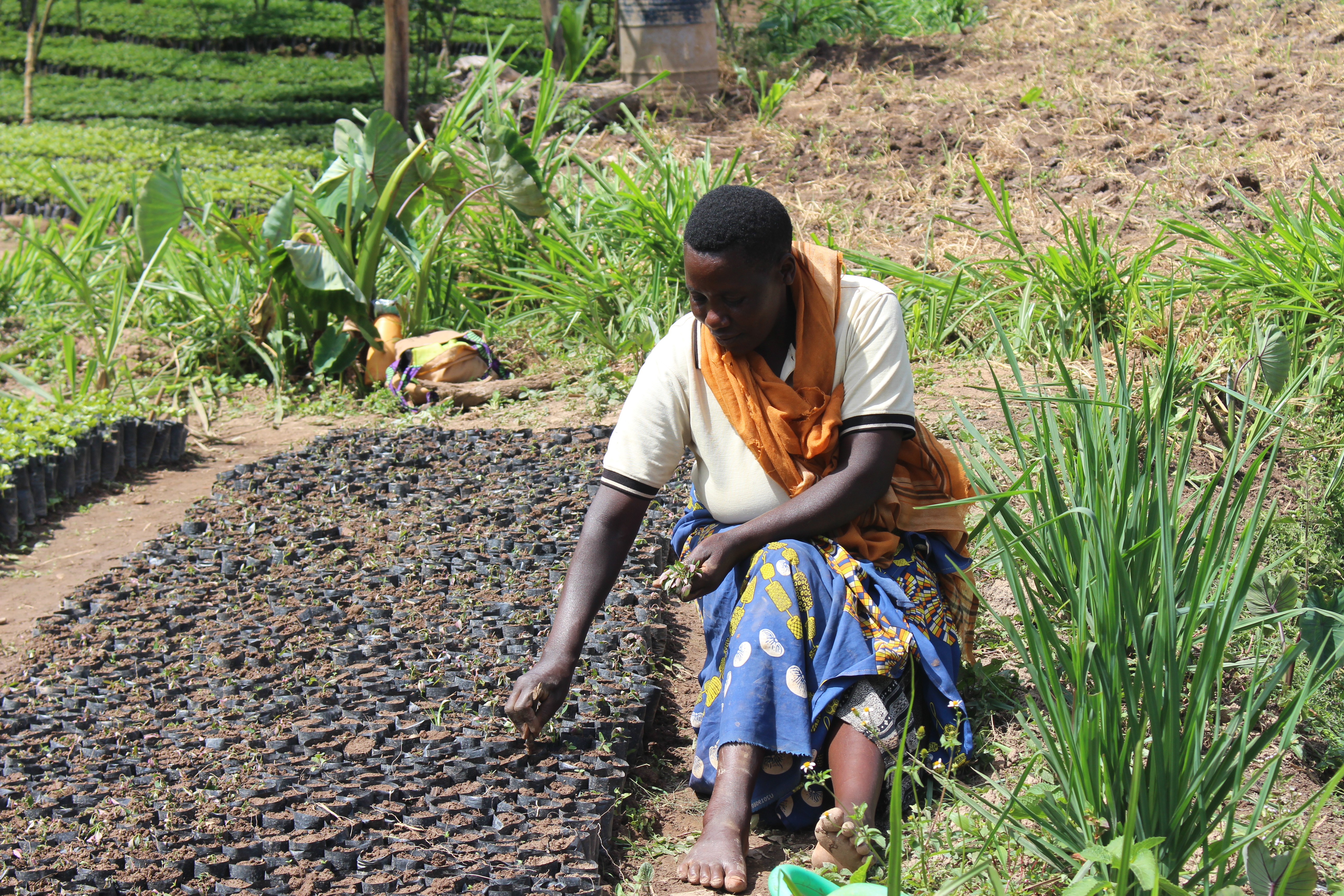  5e Mission de supervision projet EURECCCA, Etape 1 :  Bassin versant Maziba