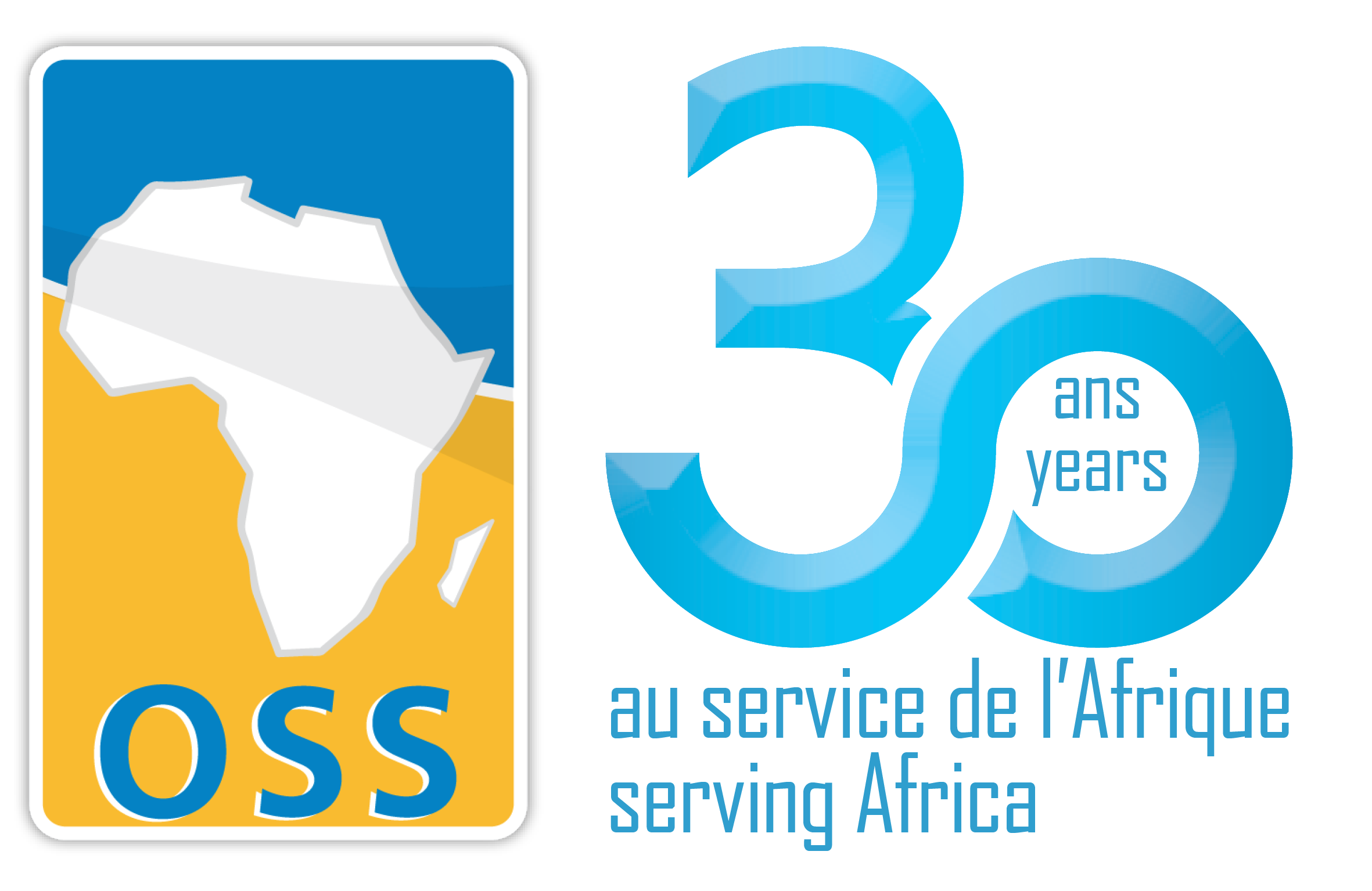 30 ans au service de l'Afrique