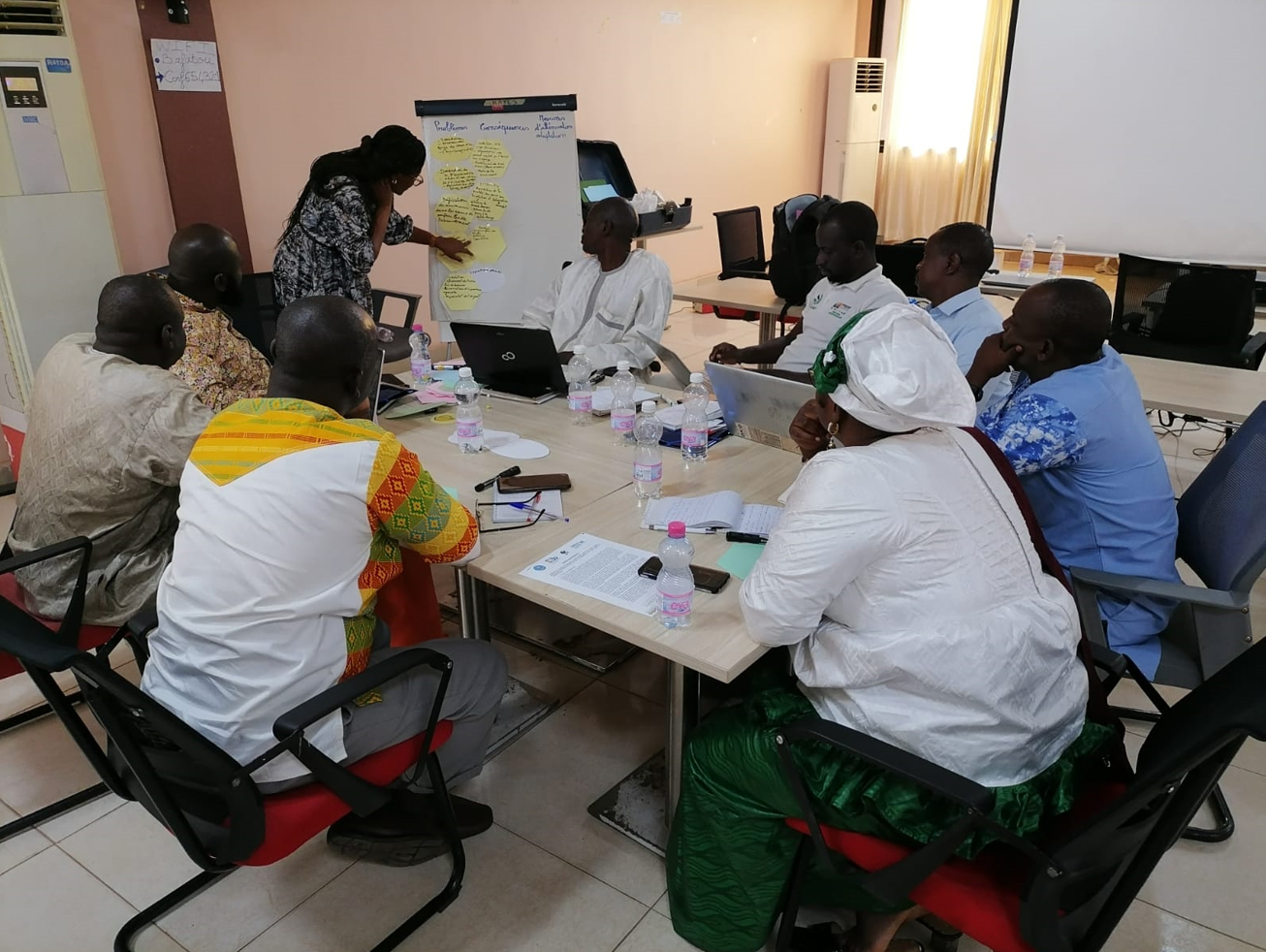 National validation workshop of the Transboundary Diagnostic Analysis (TDA) for the Taoudeni Basin National part and establishment of pilot sites in Mali. Bamako, Mali, July 4 – 6, 2022