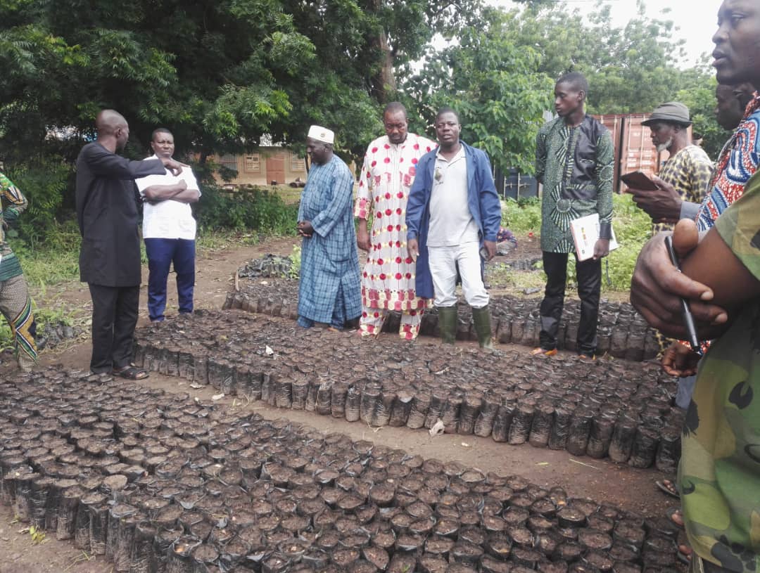 AdaptWAP Benin training on agroforestry and small-scale irrigation technique