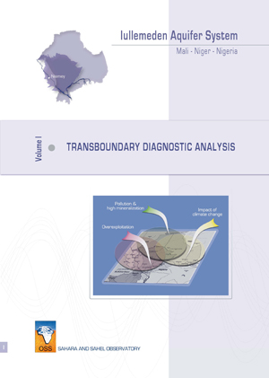 Transboundary diagnostic analysis