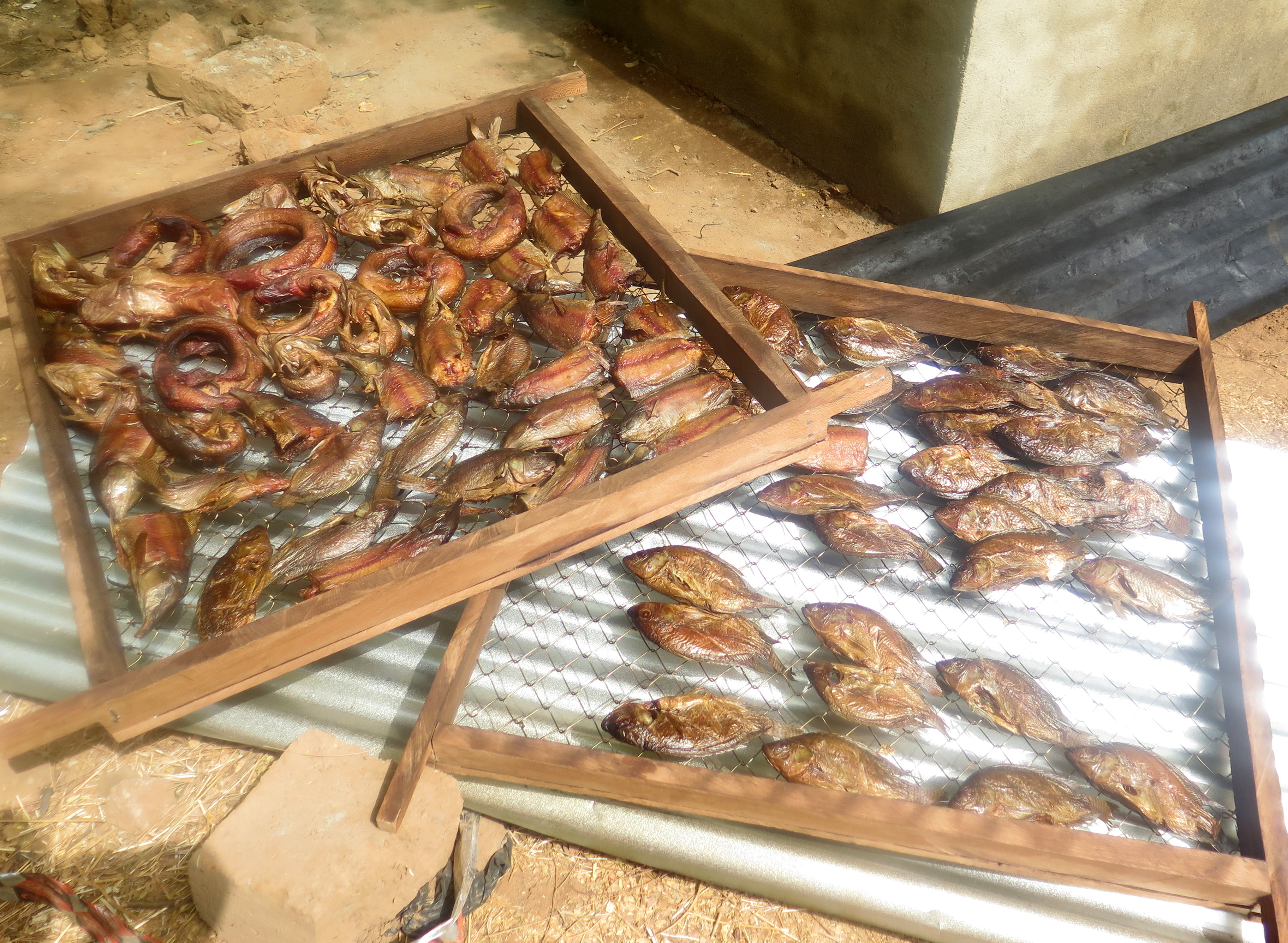 AdaptWAP Burkina Faso - Training of trainers in the fishery sector