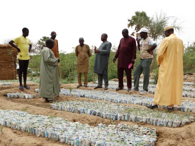 AdaptWAP Niger formations de formateurs sur les techniques de régénération naturelle assistée et de reboisement