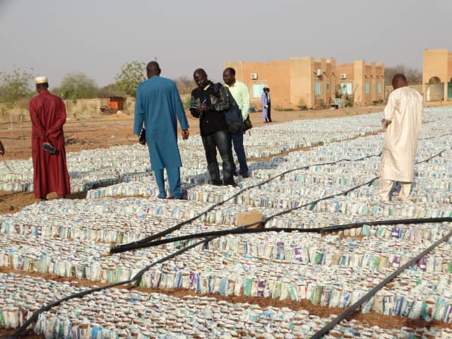 AdaptWAP Niger formations de formateurs sur les techniques de régénération naturelle assistée et de reboisement