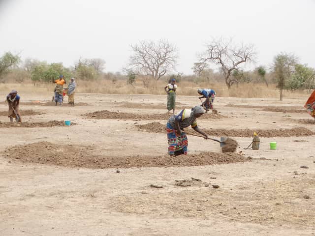 AdaptWAP Niger formations de formateurs sur les techniques de régénération naturelle assistée et de reboisement