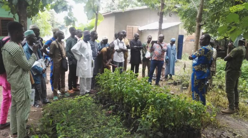 AdaptWAP Niger trains thetrainers on assisted natural regeneration and reforestation techniques