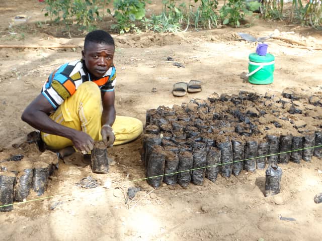 AdaptWAP Niger formations de formateurs sur les techniques de régénération naturelle assistée et de reboisement