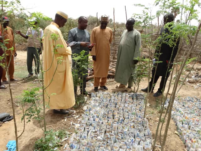 AdaptWAP Niger trains thetrainers on assisted natural regeneration and reforestation techniques