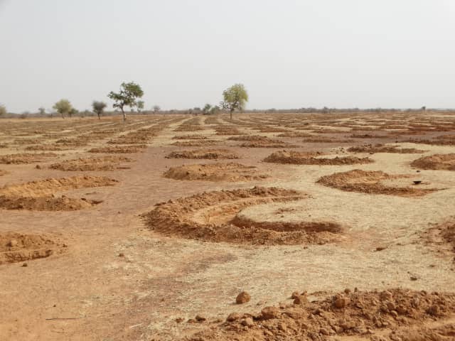 AdaptWAP Niger formations de formateurs sur les techniques de régénération naturelle assistée et de reboisement