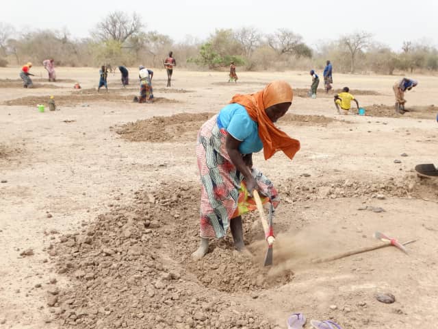 AdaptWAP Niger formations de formateurs sur les techniques de régénération naturelle assistée et de reboisement