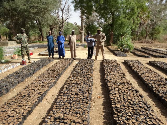 AdaptWAP Niger formations de formateurs sur les techniques de régénération naturelle assistée et de reboisement