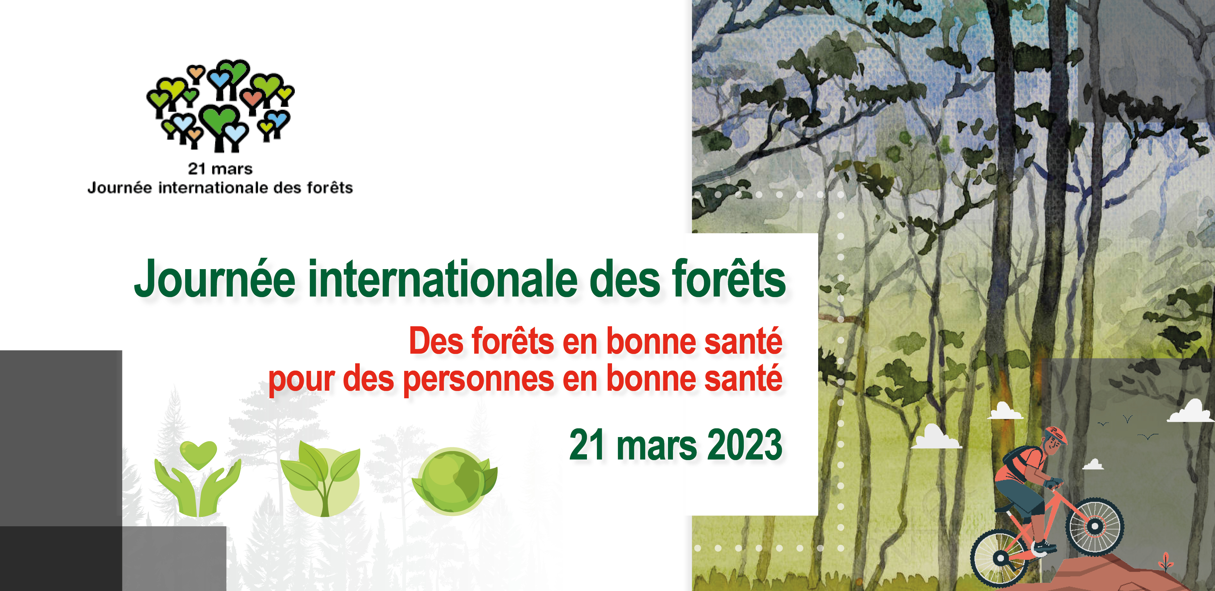 Journée Internationale des Forêts