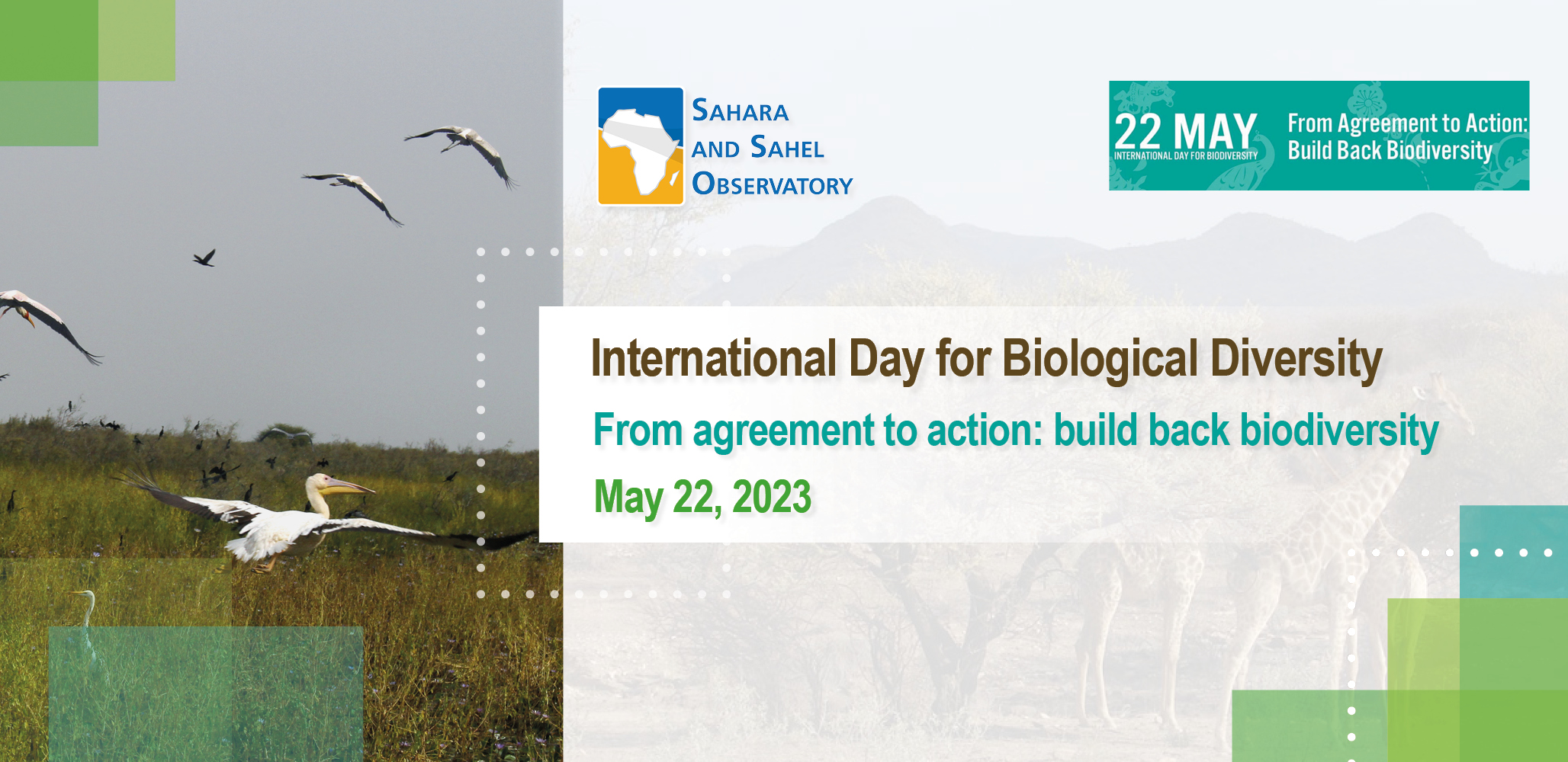 International Day for Biological Diversity 2023 | From agreement to action : re-building biodiversity