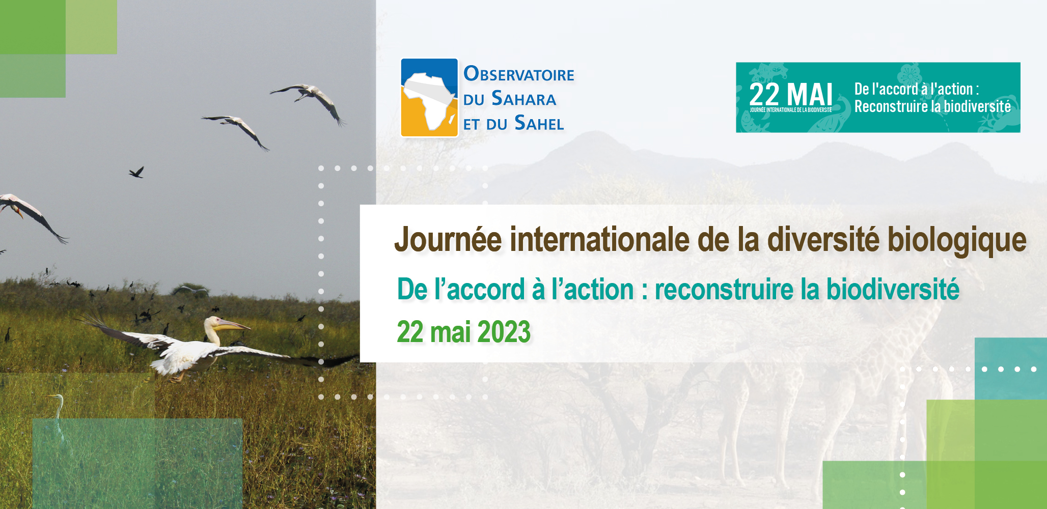 Journée internationale de la diversité biologique | De l’accord à l’action : reconstruire la biodiversité