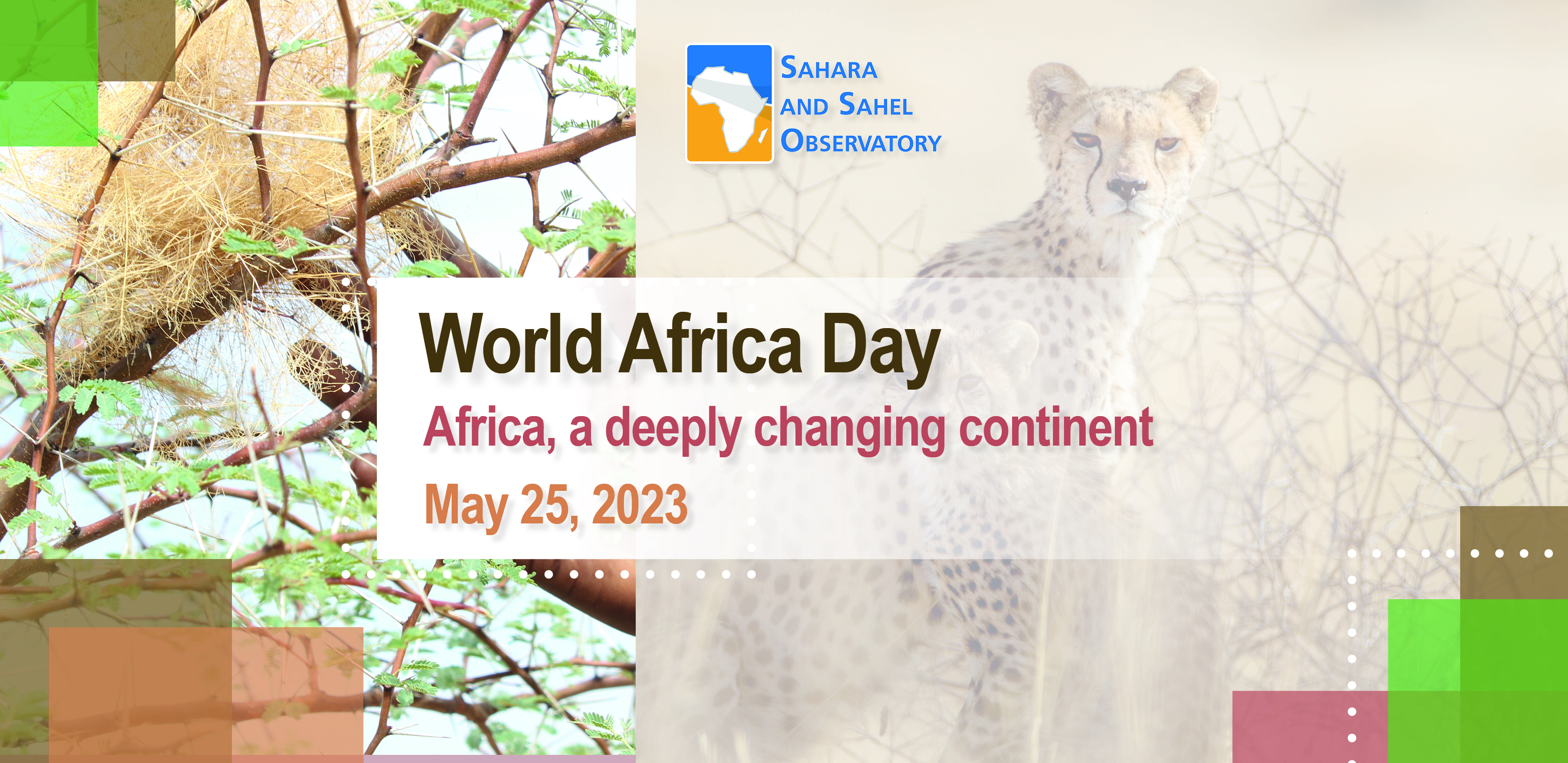 World Africa Day | A deeply changing Continent