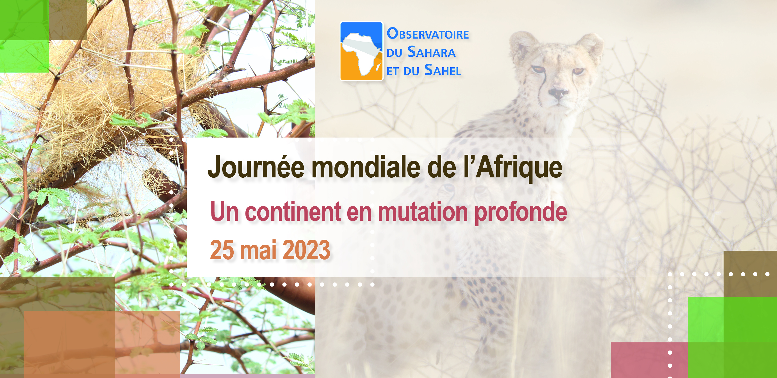 Journée mondiale de l'Afrique | Un Continent en mutation profonde