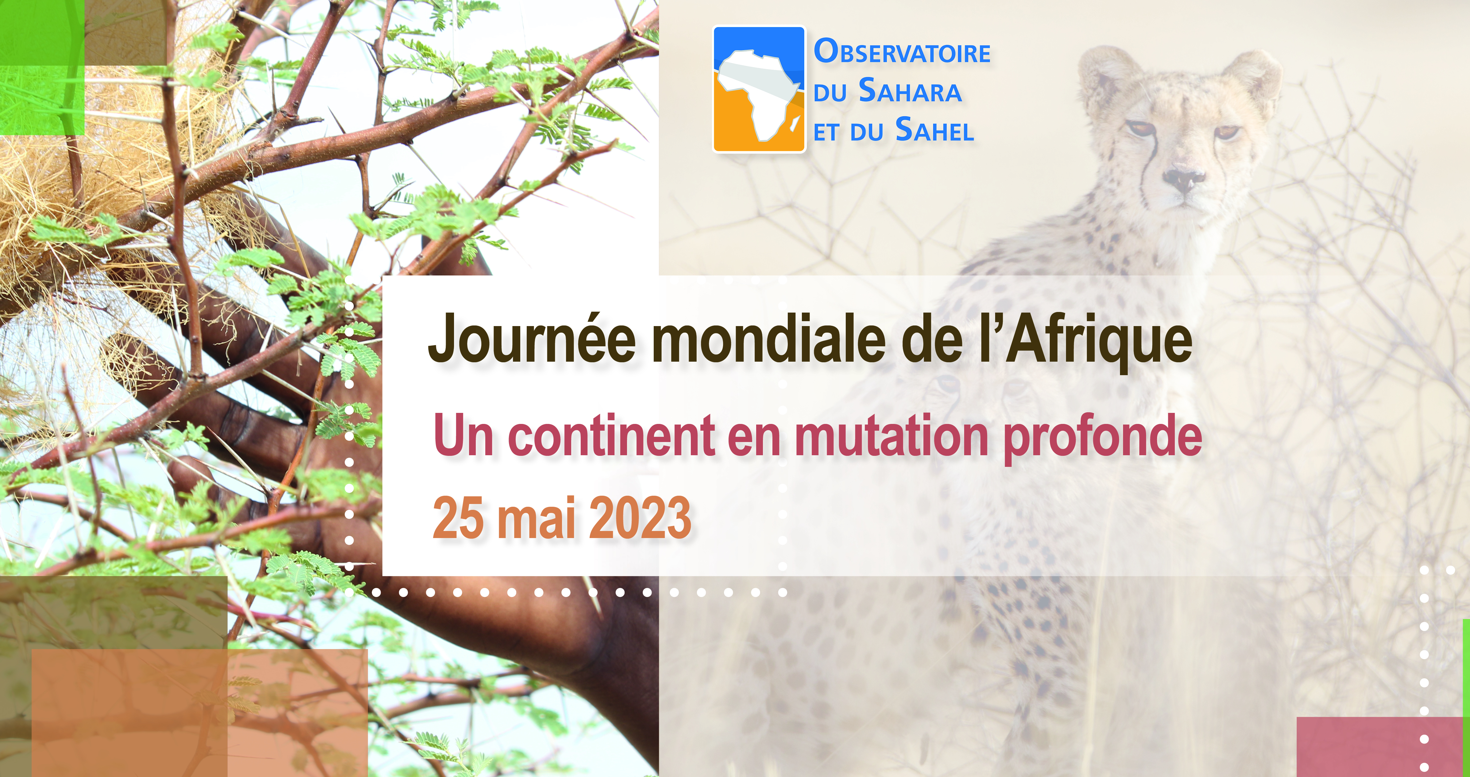 Journée mondiale de l'Afrique | Un Continent en mutation profonde