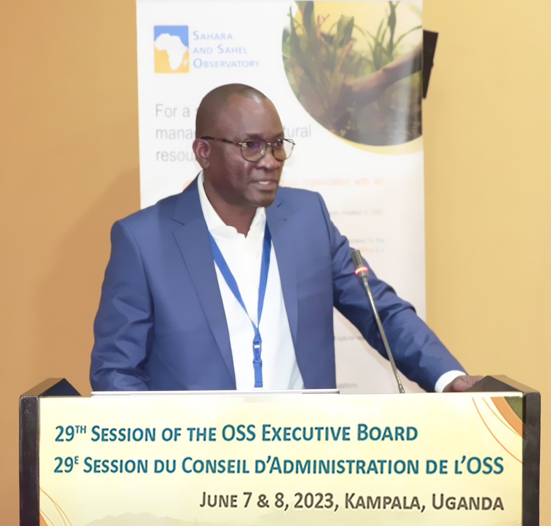 29th session of the Sahara and Sahel Observatory Executive Board 