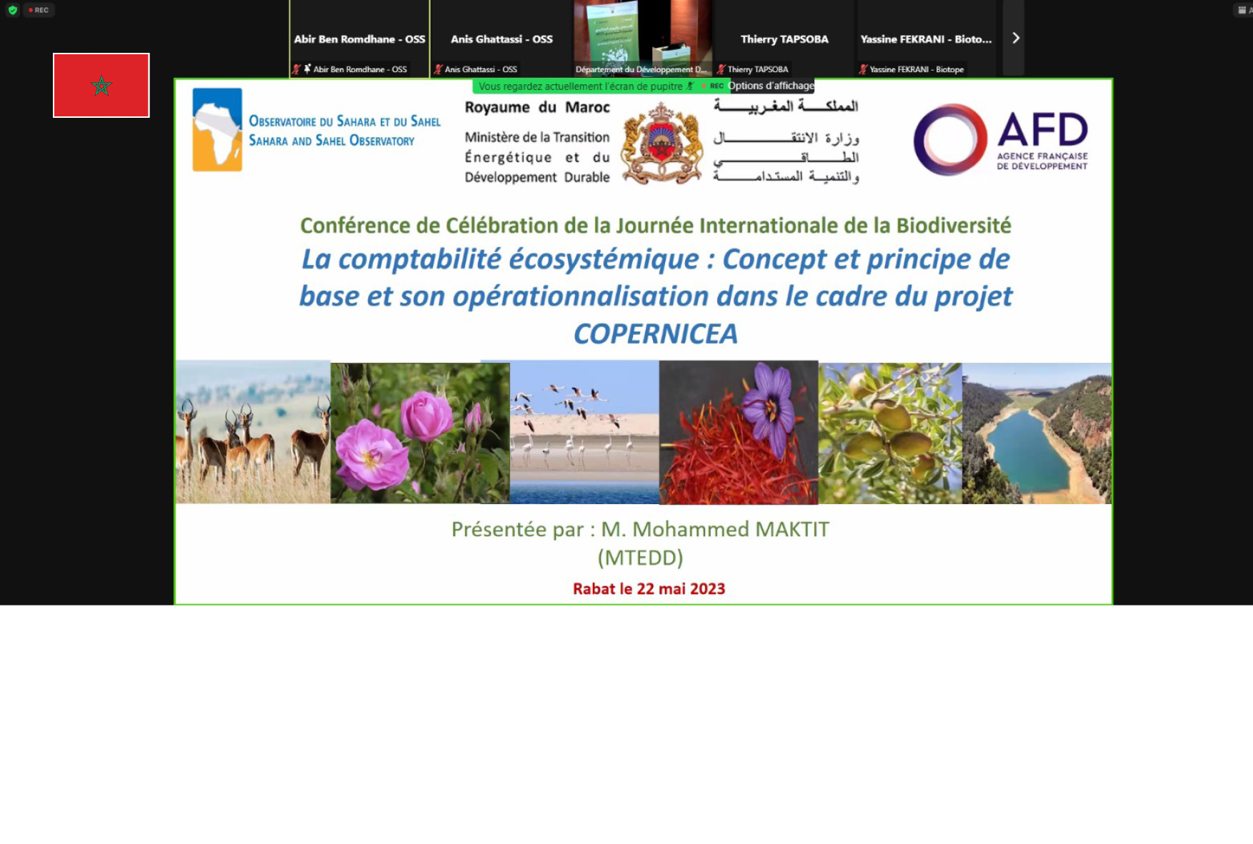 Copernicea: ENCA for the preservation of biodiversity 