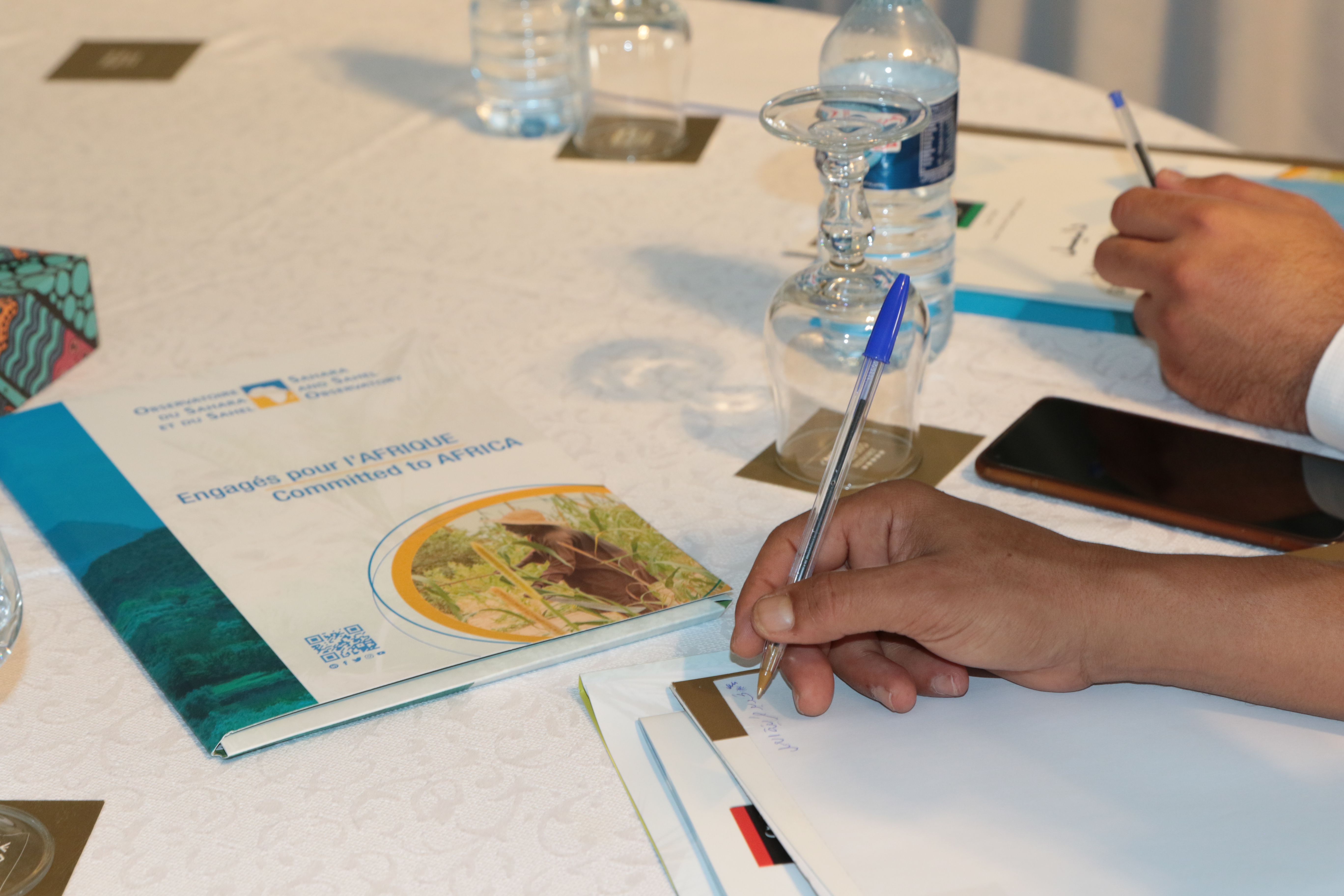 Advancing Libya's Readiness for Phase 2 of the Green Climate Fund                      