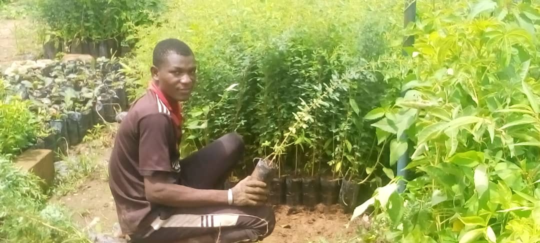 AdaptWAP Burkina Faso: Reboisement et régénération naturelle assistée