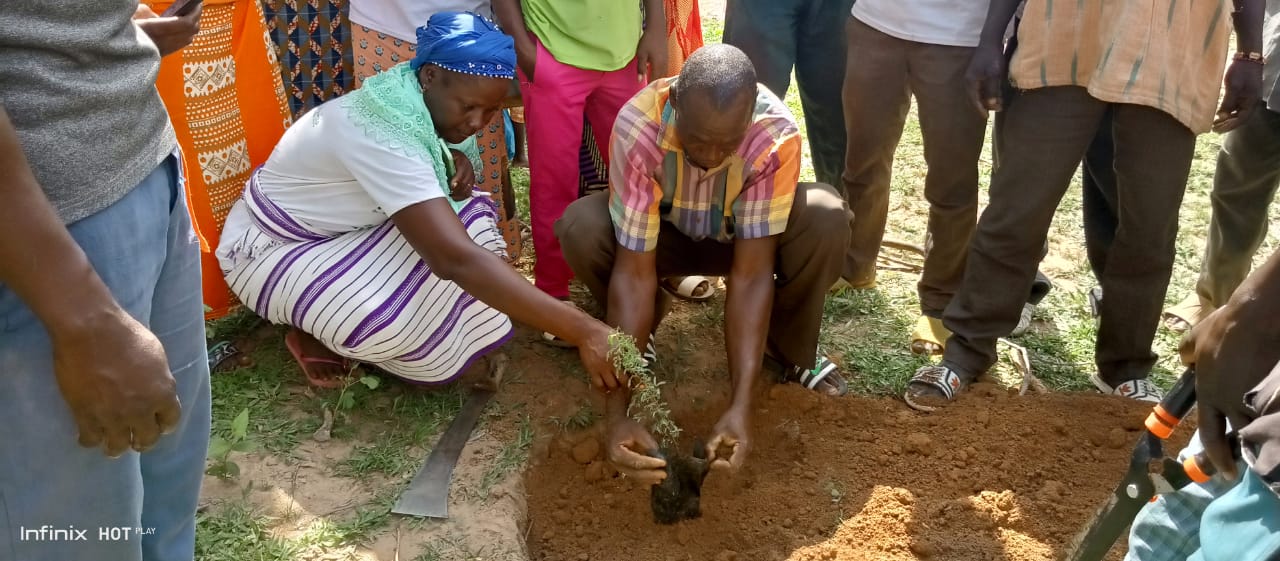 AdaptWAP Burkina Faso Component: Training in Reforestation and Assisted Natural Regeneration 