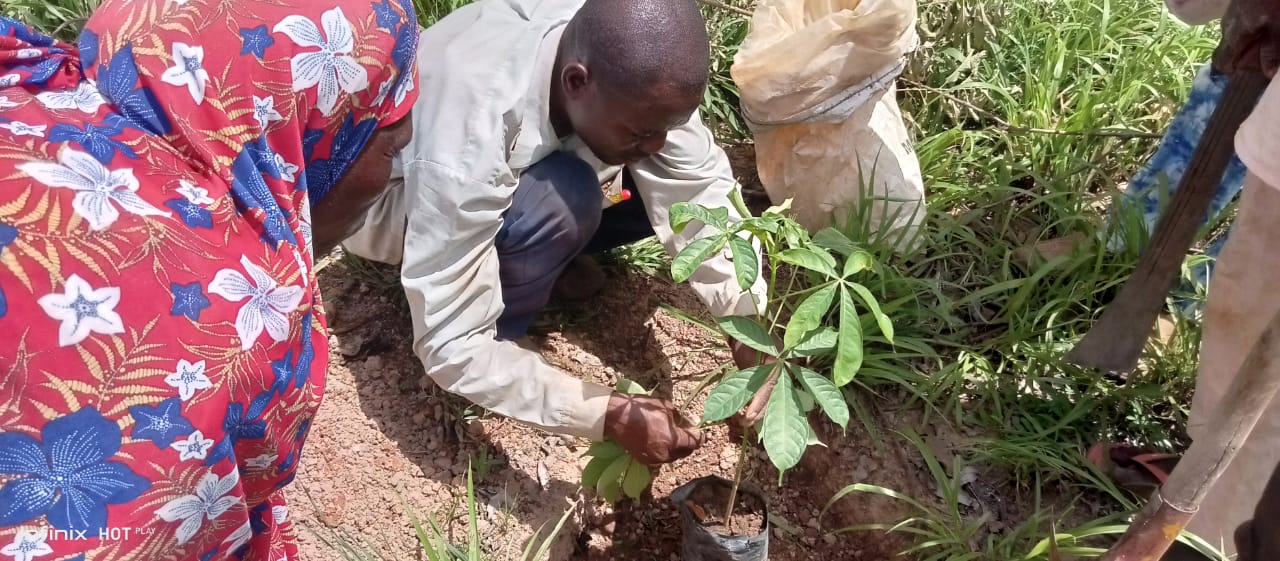 AdaptWAP Burkina Faso Component: Training in Reforestation and Assisted Natural Regeneration 