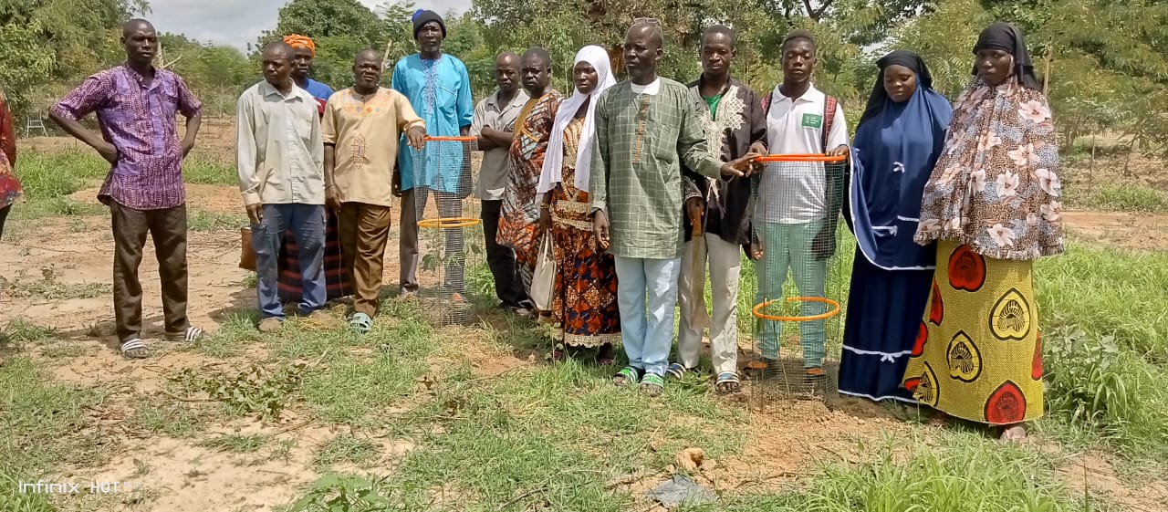 AdaptWAP Burkina Faso: Reboisement et régénération naturelle assistée