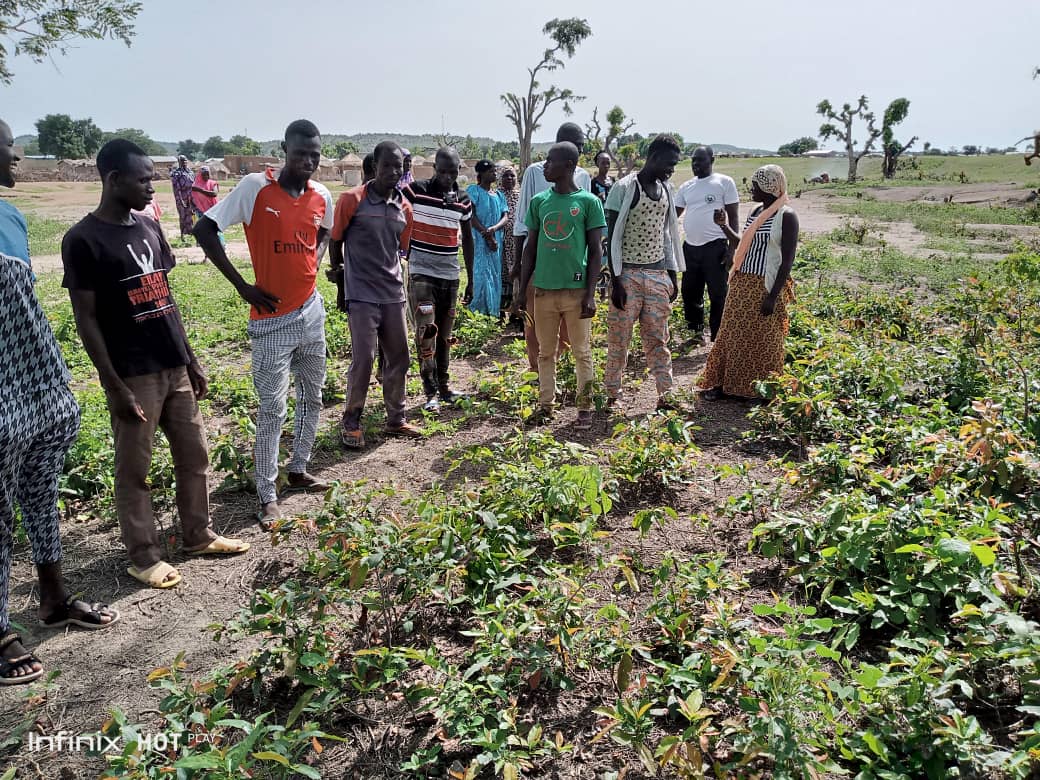 AdaptWAP monitoring mission in Burkina Faso