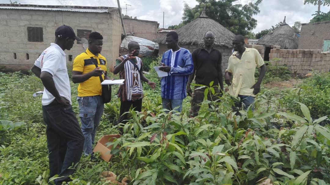 AdaptWAP Burkina Faso Component: Training in Reforestation and Assisted Natural Regeneration 