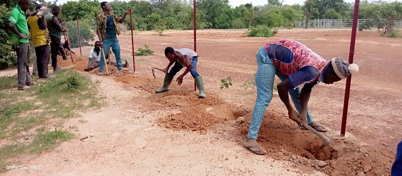 AdaptWAP Burkina Faso: Reboisement et régénération naturelle assistée