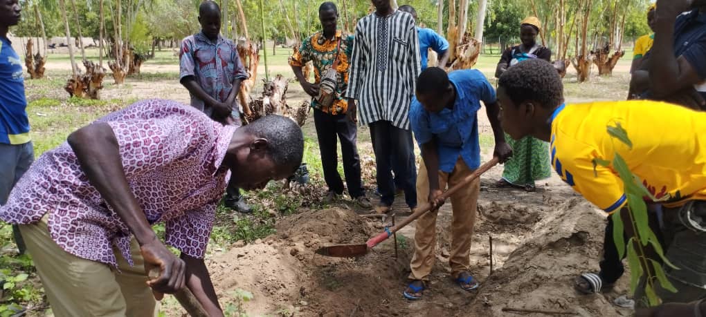 AdaptWAP Burkina Faso Component: Training in Reforestation and Assisted Natural Regeneration 