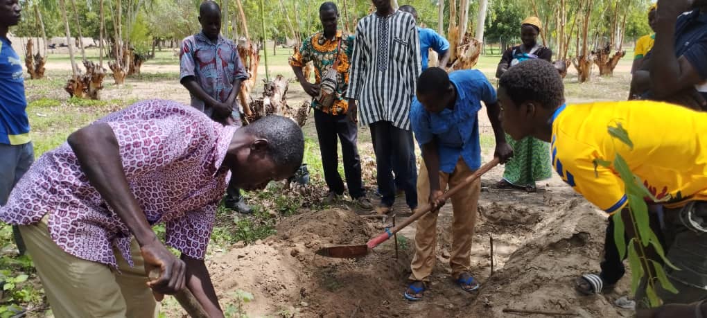 AdaptWAP Burkina Faso: Reboisement et régénération naturelle assistée