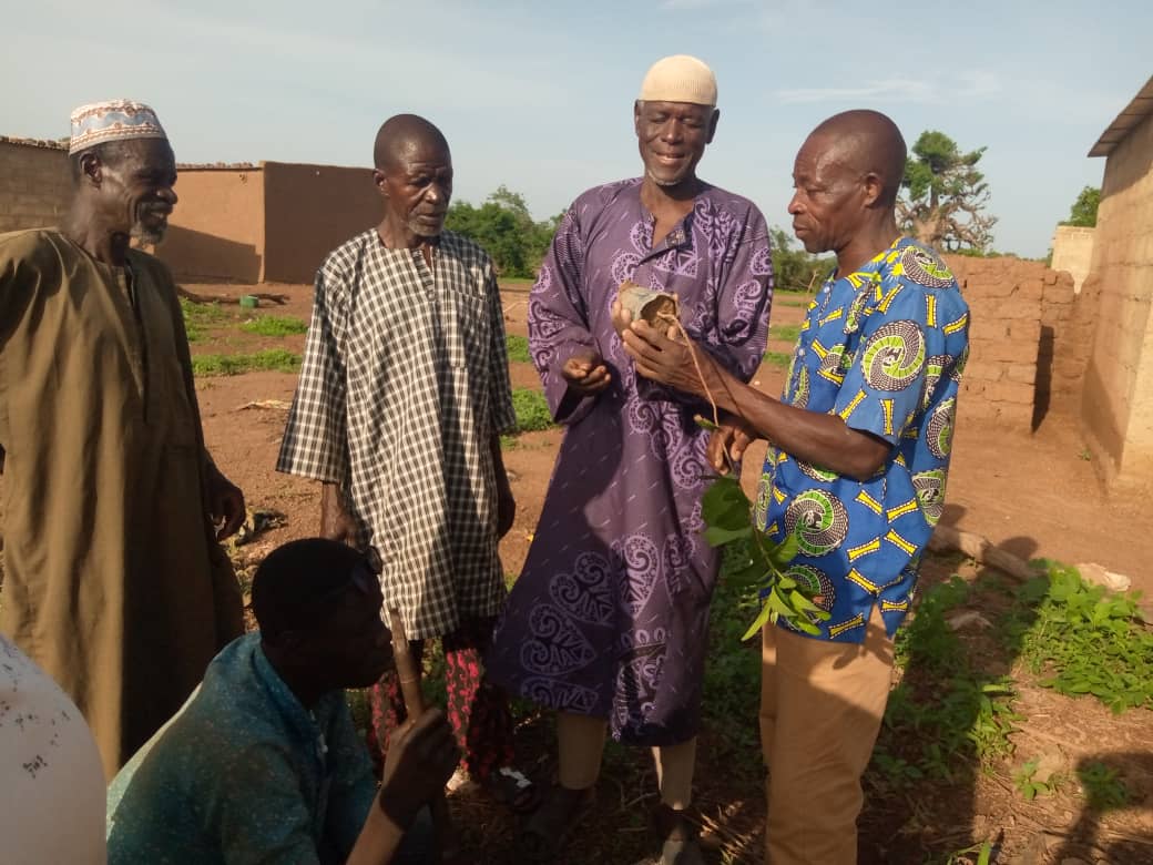 AdaptWAP Burkina Faso Component: Training in Reforestation and Assisted Natural Regeneration 