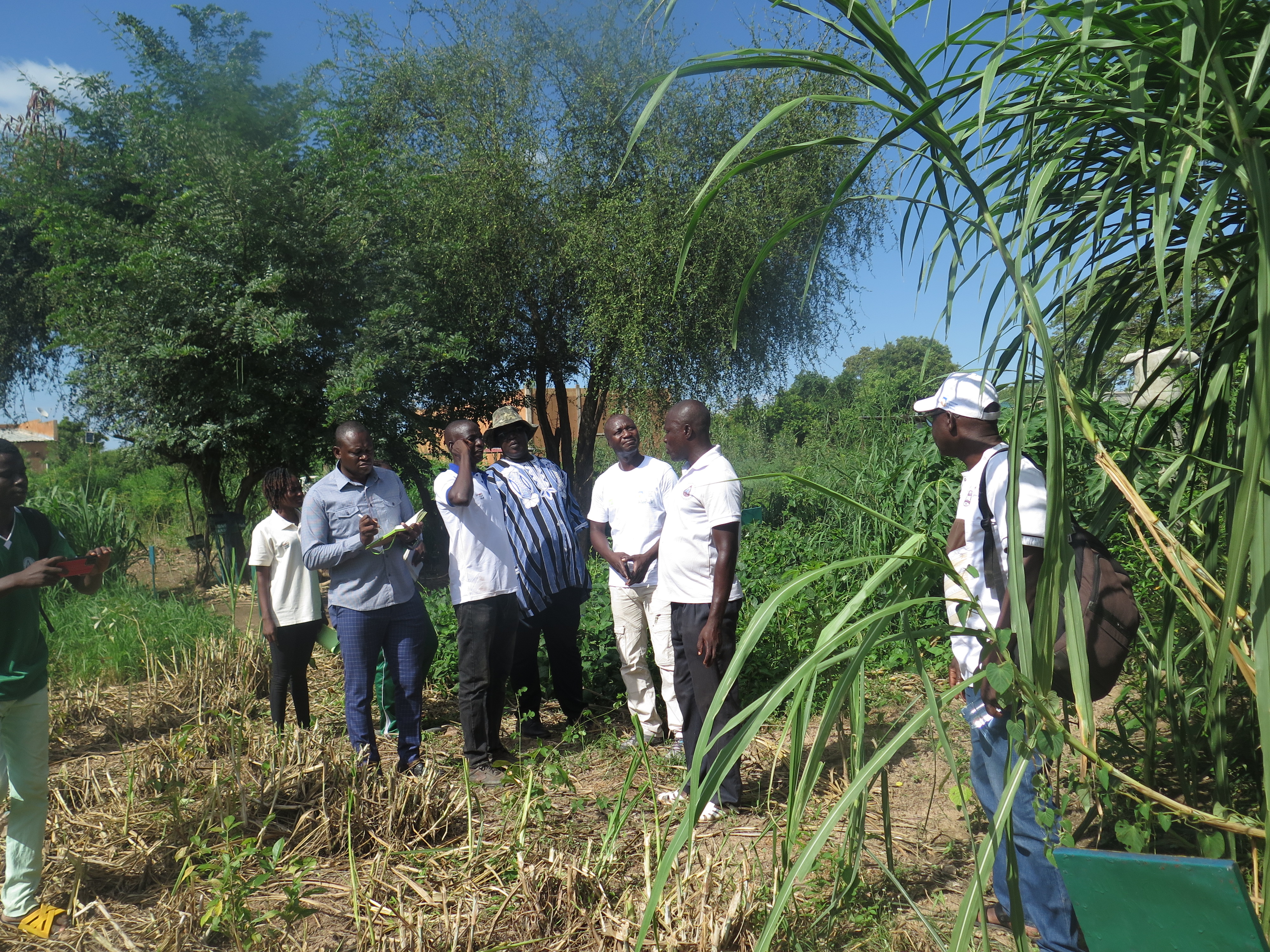 Mission d'Appui au Projet AdaptWAP au Burkina Faso