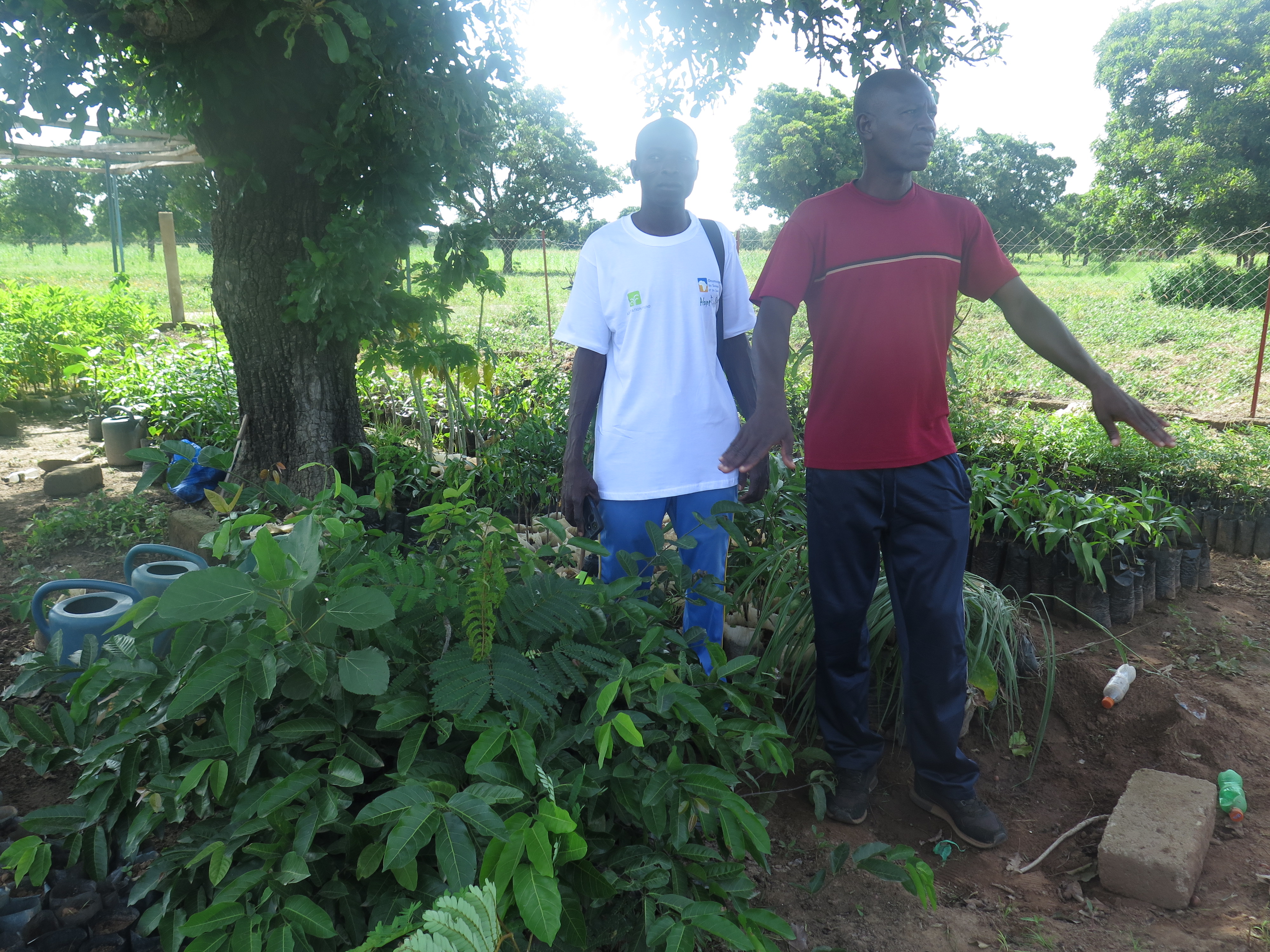 Mission d'Appui au Projet AdaptWAP au Burkina Faso