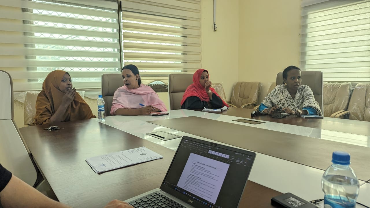 The 3rd Supervision mission of the DRESSEA project in Djibouti, November 12th to 15th, 2023