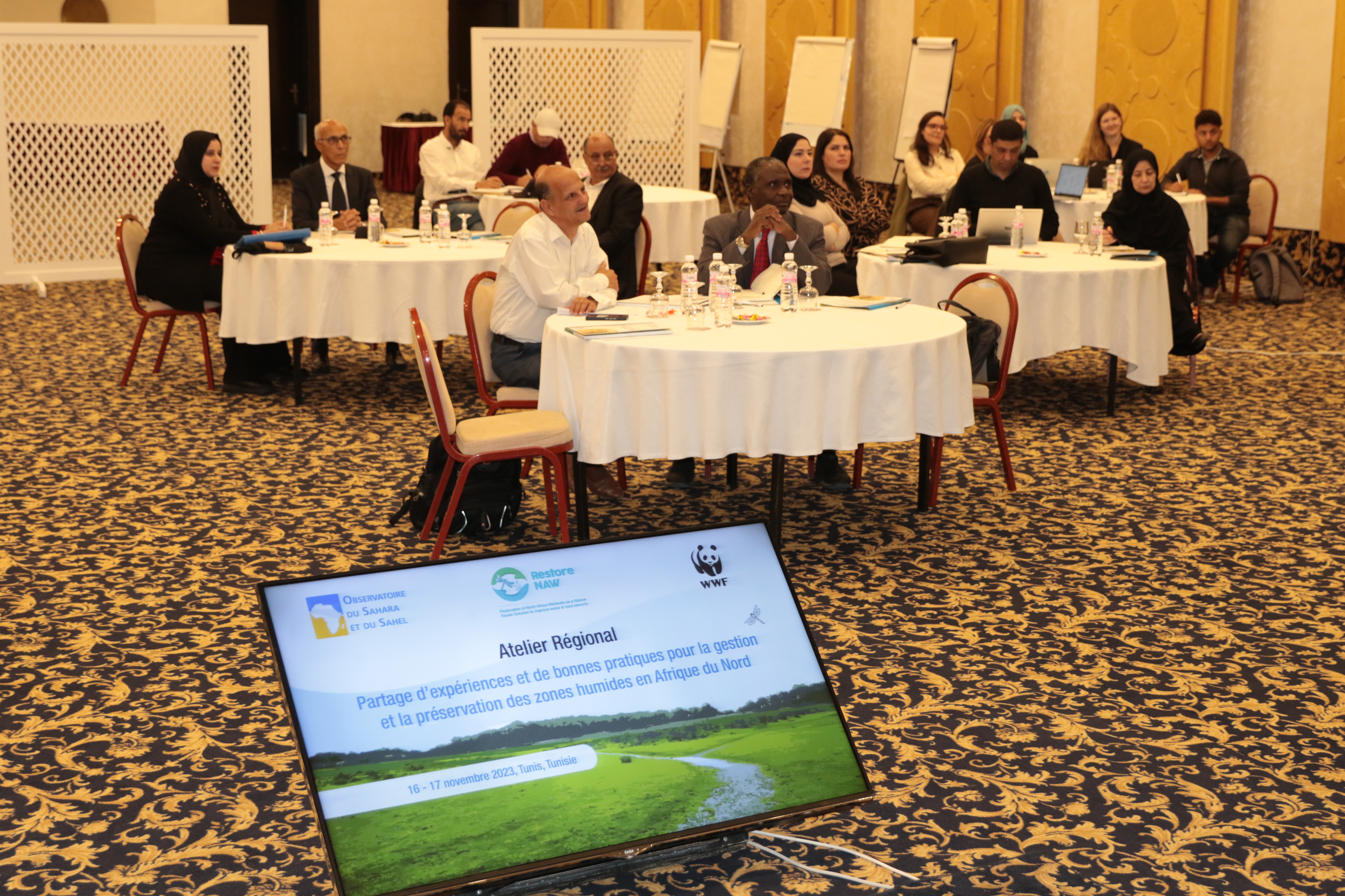 Restore Naw: Advocacy for Wetland Restoration in North Africa