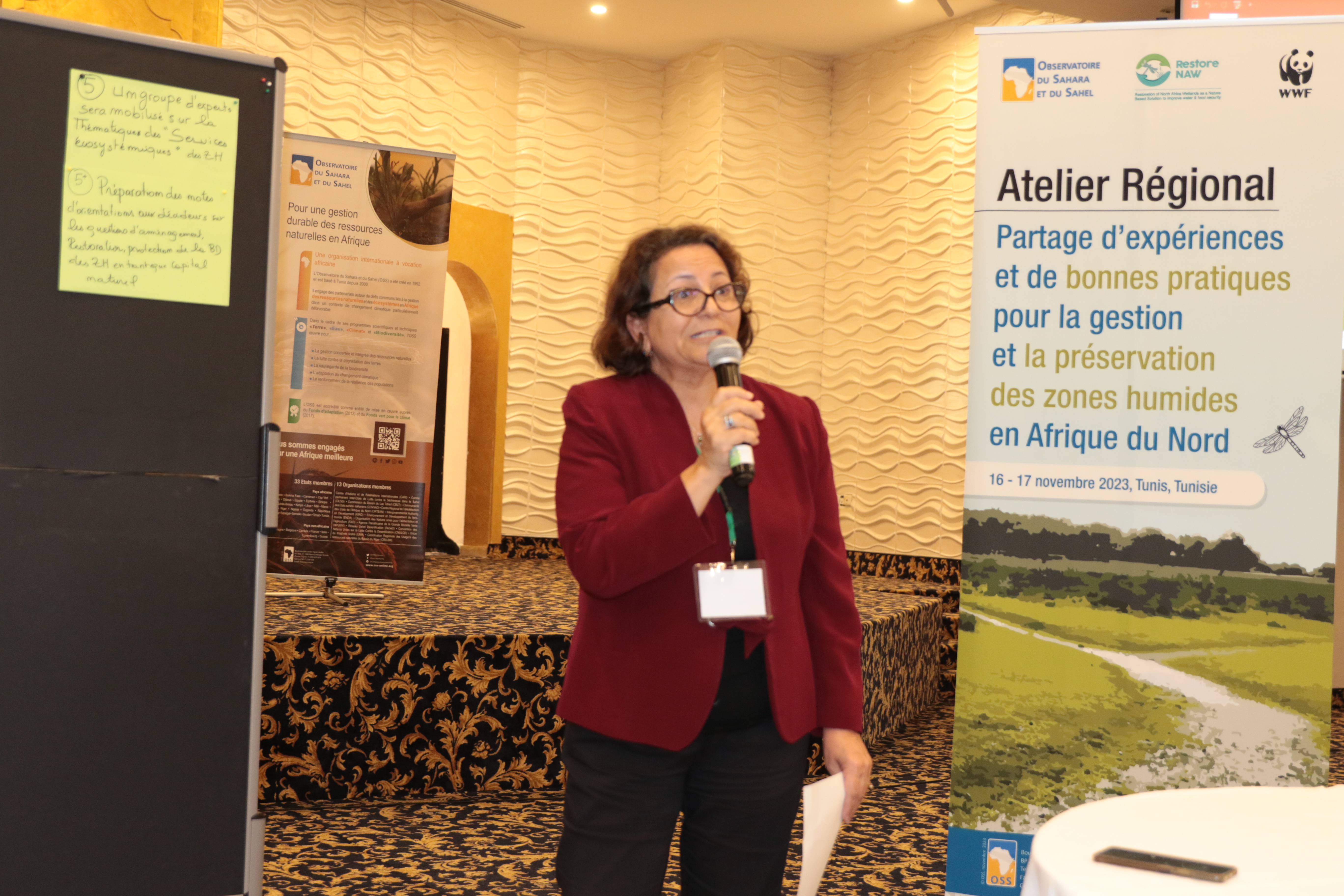 Restore Naw: Advocacy for Wetland Restoration in North Africa