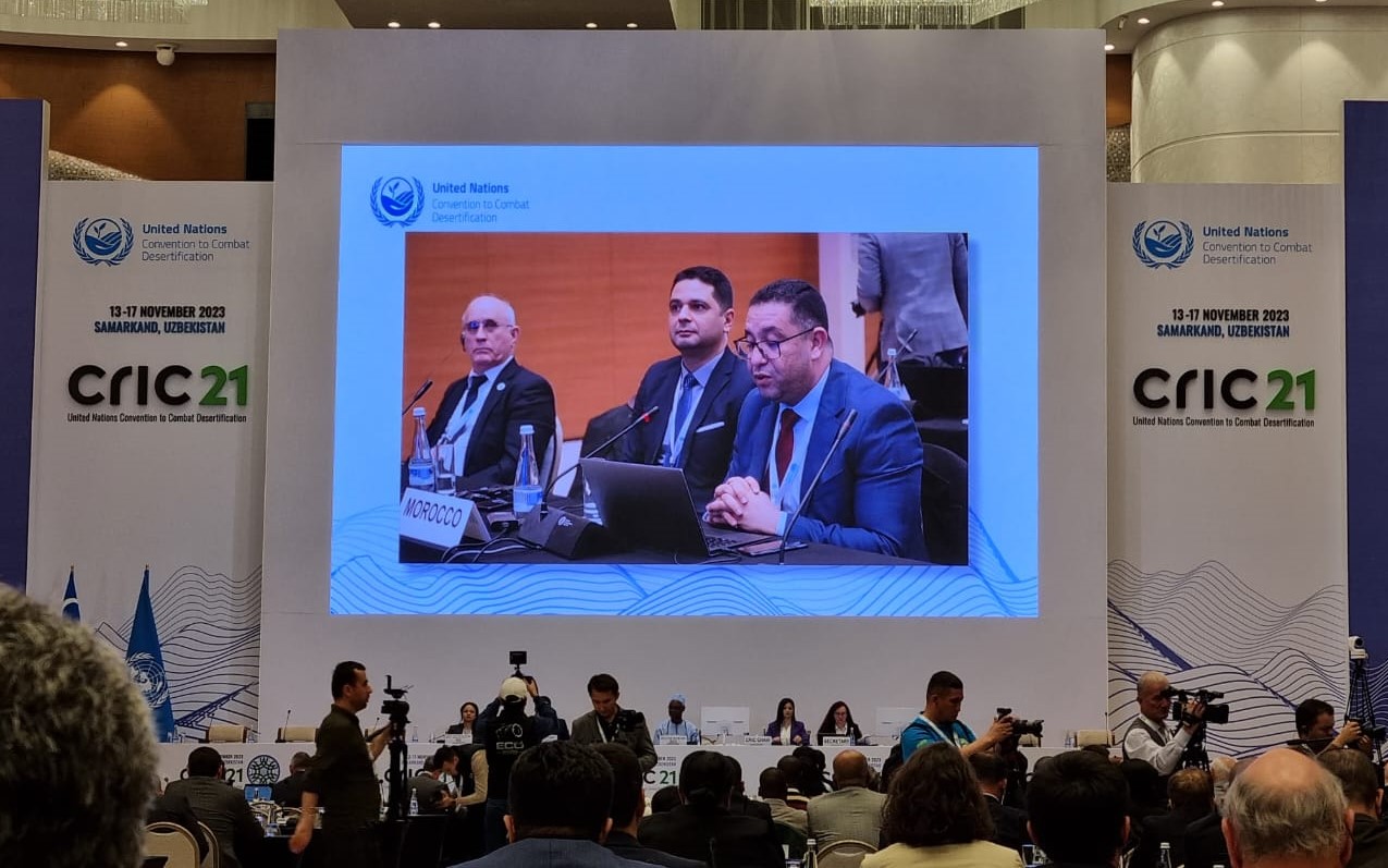 Plenary session of the UNCCD CRIC 21: A Collective Commitment to Combating Desertification