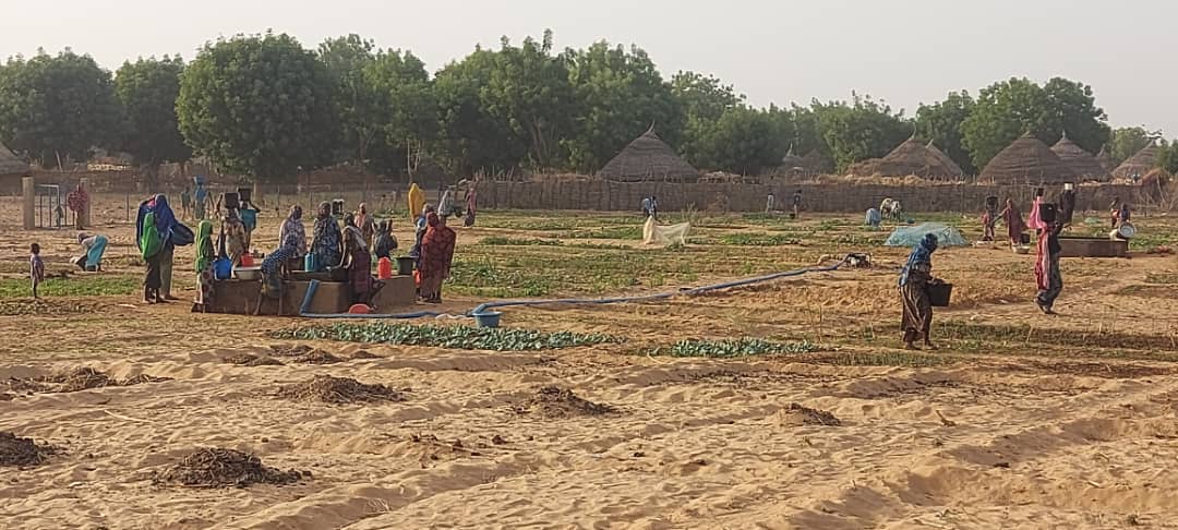 Soutien florissant pour les femmes de falmey (Niger) dans le cadre du projet AdaptWAP