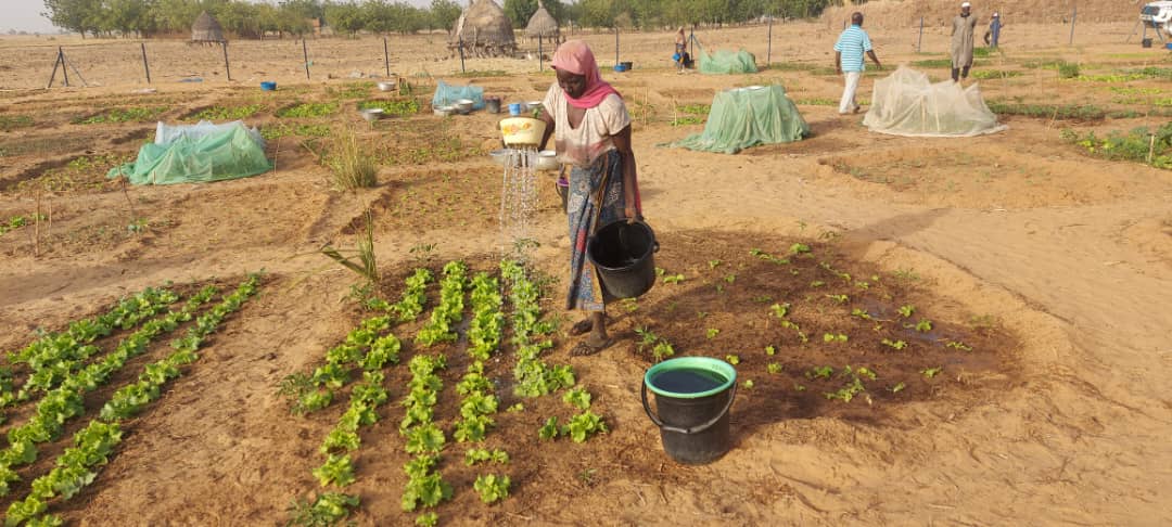 Thriving Support for Women in Falmey (Niger) under the AdaptWAP Project