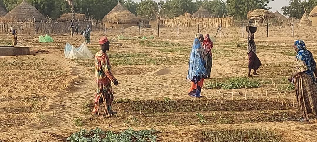 Soutien florissant pour les femmes de falmey (Niger) dans le cadre du projet AdaptWAP