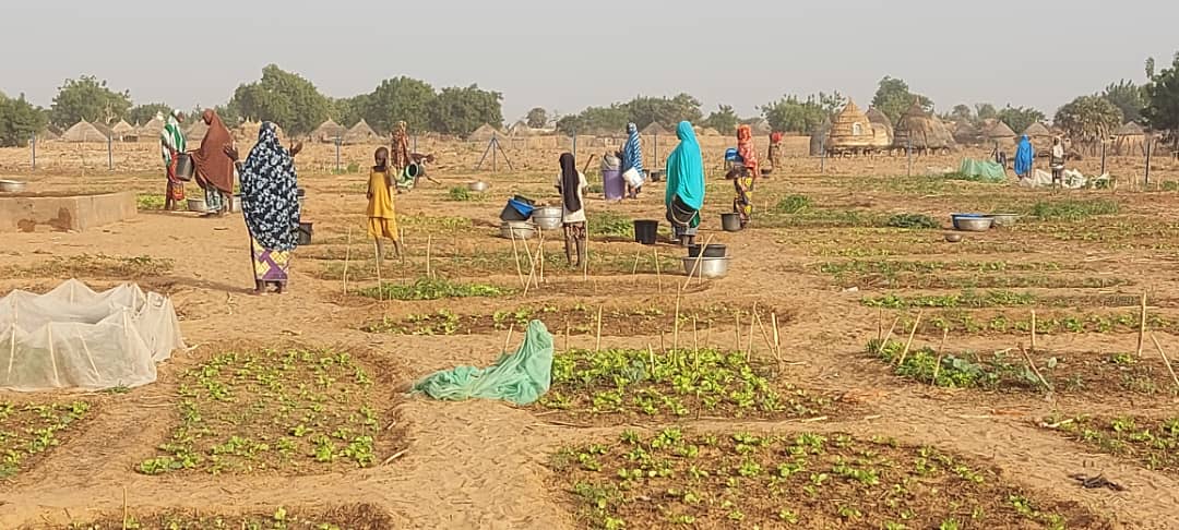 Soutien florissant pour les femmes de falmey (Niger) dans le cadre du projet AdaptWAP