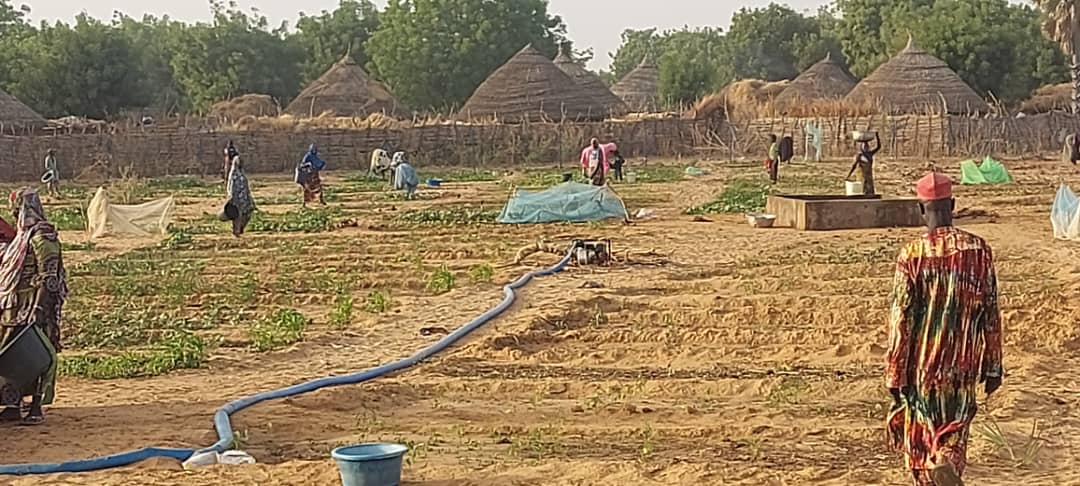 Thriving Support for Women in Falmey (Niger) under the AdaptWAP Project