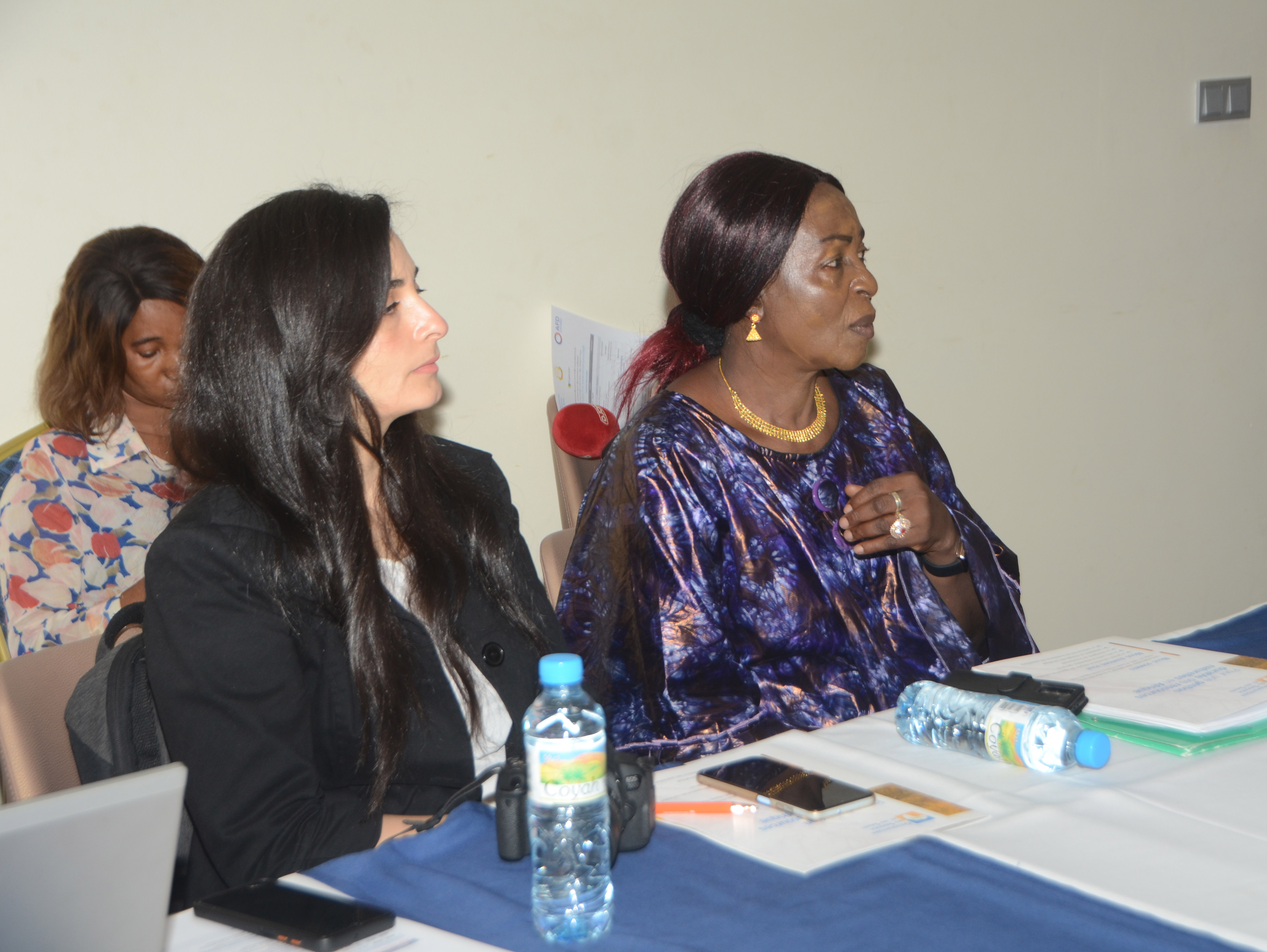 National awareness and training workshop on ENCA in Conakry